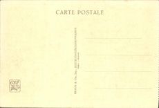 VINTAGE POSTCARD Fair Colonial International Paris Zoological gardens the Lionesses Lions