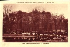 De la VENDIMIA de la POSTAL flamencos internacionales coloniales de los jardines zoologicos de Paris favorablemente