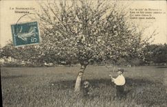 Folklore campesino del manzano Del lllustree de Normandia de la POSTAL de la VENDIMIA