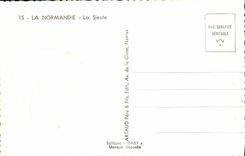 MODERN CARD the Norman the Nap Cows