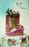 VINTAGE POSTCARD Happy New Year Caht Kitten