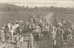 REPRO Les Vins De Touraine La Borde Retour des Vendangeurs