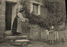 VINTAGE POSTCARD Country life Pussy finds Chat Kitten