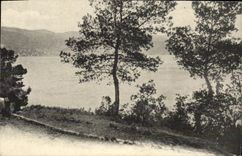 VINTAGE POSTCARD Seen at the edge of L water