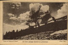 CPA Un beau Paysage alpestre au printemps