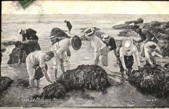 VINTAGE POSTCARD Fishing with the Moulds