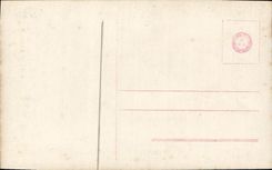 VINTAGE POSTCARD Happy New Year Child Pig