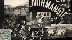 CPA En Normandie Folklore Berger et moutons Fileuse Ane 