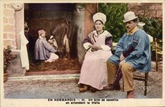 VINTAGE POSTCARD In Normandy a bit of causette while waiting for the draft Cow Folklore