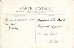 VINTAGE POSTCARD Park Swans