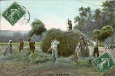 POSTAL de la VENDIMIA el folklore de los campesinos del Haymaking
