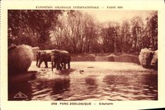 CPA Exposition Coloniale Internationale Paris Parc Zoologique Elephants