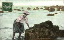 CPA La Peche aux Bigorneaux Femme