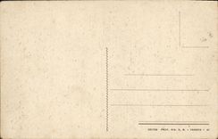 VINTAGE POSTCARD Venezia Piccioni in Piazza di S Marco