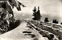 CPM Cristaux De Neige