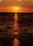 CPM Coucher de Soleil sur les Etangs