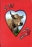 CPM Vache 
