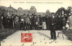 VINTAGE POSTCARD Paris Gardens Of Tileries the Charmer D birds TOP