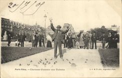 VINTAGE POSTCARD Charmer D birds with Paris Tileries