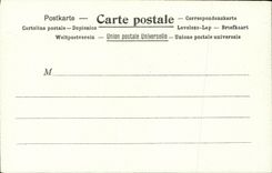 CPA La poste en Egypte Pyramide Chameau