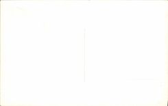 MODERN CARD Garden in a village