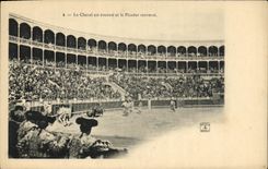 CPA Corrida Taureau Toro Le cheval esdt eventre et le picador renverse