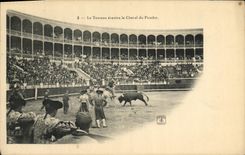 VINTAGE POSTCARD Corrida Toro Bull the bull breaks the horse of the Picador