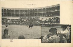 CPA Corrida Taureau Toro Entree du taureau