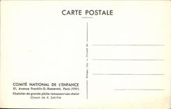 MODERN CARD Boat Trawler of large sin collecting its trawl Wooden bowl