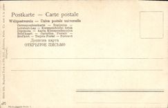 VINTAGE POSTCARD Fantasy Woman the night Dog