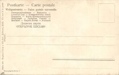 VINTAGE POSTCARD Fantasy Woman the evening