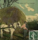VINTAGE POSTCARD Fantasy Women On the way for the Peasant fields Folklore Coach