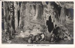 CPA Fantaisie Chantecler Les crapadus Theatre Grenouilles Coq