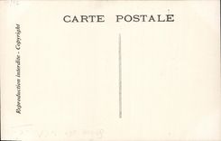 CPA Fantaisie Chantecler Les crapadus Theatre Grenouilles Coq