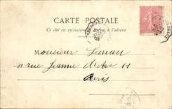 CPA Fantaisie Femme Fete et porte bonheur Pore Veine Cochon