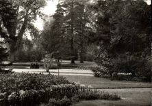 MODERN CARD Durzy Garden