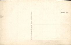 VINTAGE POSTCARD Fantasy militaria Family