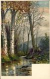 VINTAGE POSTCARD Fantasy Landscape of under wood