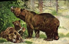 CPA Ours