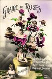 CPA Graine de roses Bebes Enfants