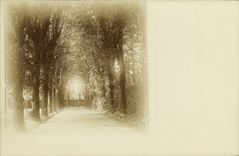 Real photo Gone in wood