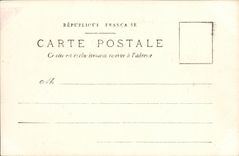 CARTE PHOTO Allee dans les bois