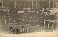 VINTAGE POSTCARD Bull Bullfight salida of Los Cabestros