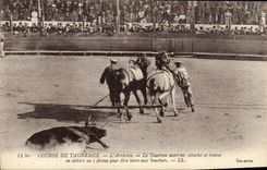 CPA Taureau Corrida L Arrastre Le taureau mort est attache et traine en dehors de l arene pour etre livre aux bouchers 