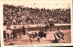 CPA Sport Espagne Corrida Toro Taureau Suerte de capa Passe de manteau