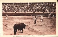 CPA Sport Espagne Corrida Toro Taureau Appel aux banderilles