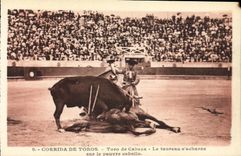 CPA Sport Espagne Corrida Toro Taureau Toro de Cabeza Le taureau s acharne 
