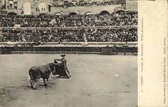 VINTAGE POSTCARD Sport Spain Corrida Toro Taureau Passes from coat