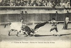 CPA Sport Espagne Corrida Toro Taureau Entree du taureau dans les arenes