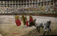 VINTAGE POSTCARD Sport Spain Bullfight Toro Estocado Bull